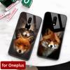 Oneplus 7pro Case Glass Back Cover Fox Cute Oneplus Coque 5t Case for Oneplus 1+ 5 5T 6 Oneplus 6 6t 7 Pro
