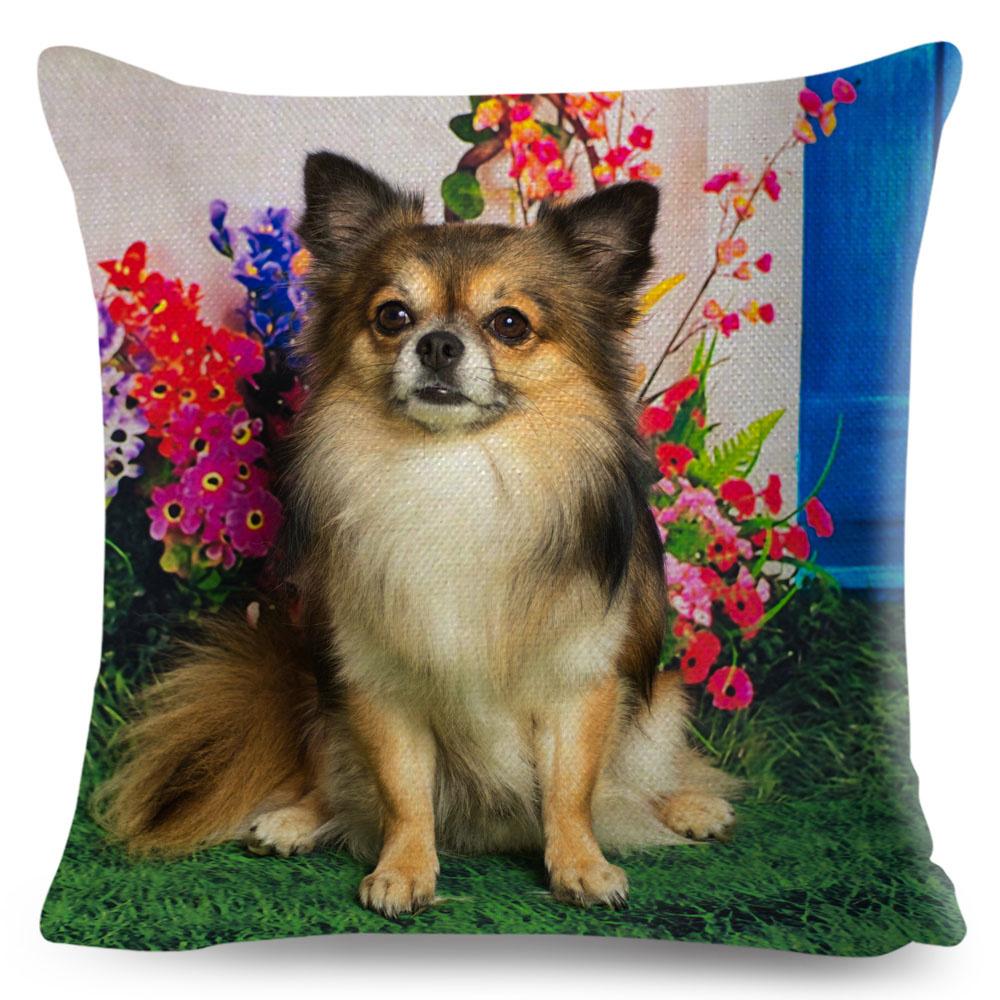 Милая маленькая собачка чихуахуа наволочка декор прекрасный питомец животное наволочка полиэстер наволочка для дивана дома машины 45х45см