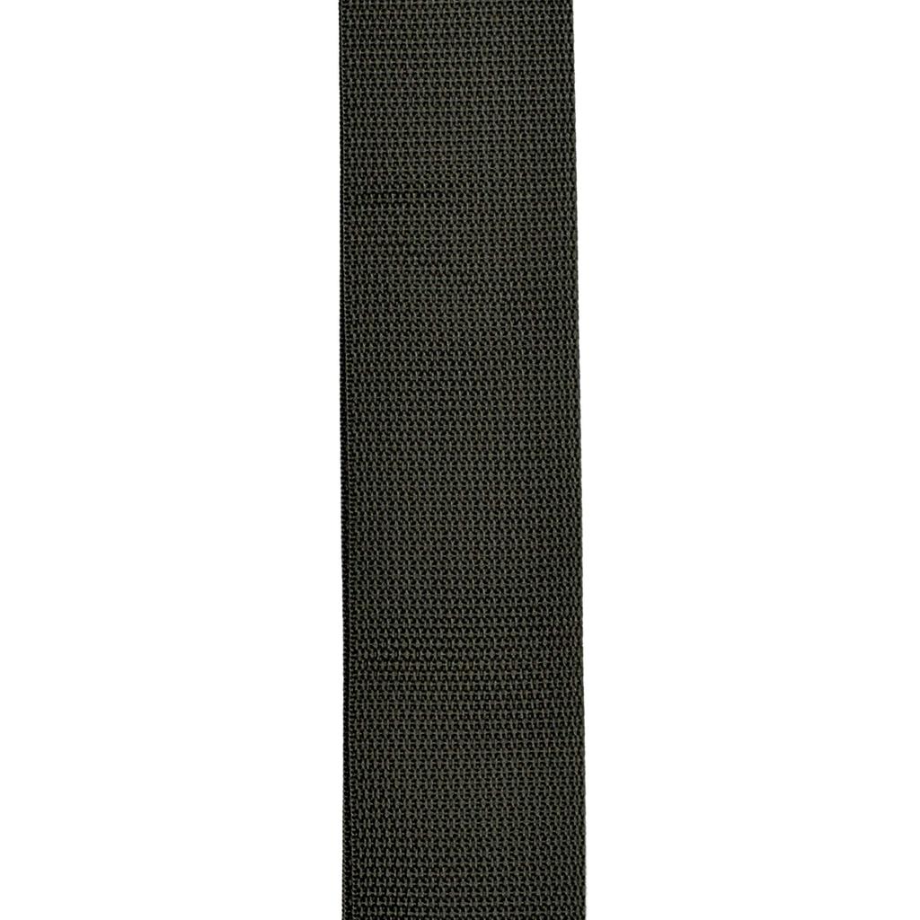 Ремень для гитары Ремень для гитары Planet Lock PWSPL200 Черный D'Addario Poly-Pro []