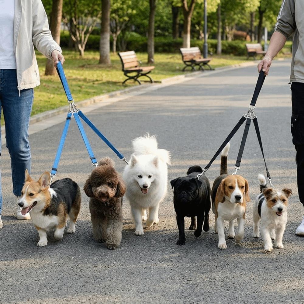 Adjustable Length Three Way Dog Leash Nylon Fabric Pet 3 In 1 Leash Dog Triple Leash  Pet Training