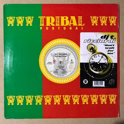 12-дюймовая пластинка DJ T. RICCIARDI - Не жди меня Y58415 TRIBAL PORTUGAL 1995 США Танцевальная и электронная музыка Б/У