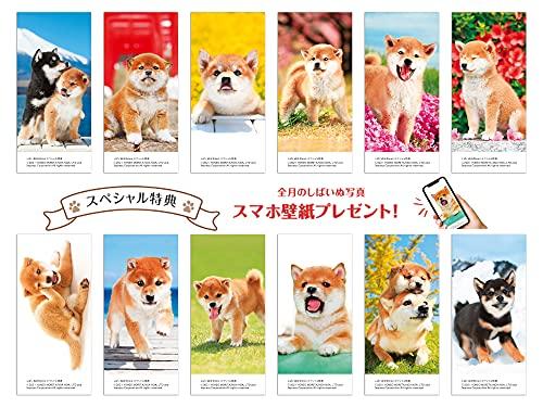 Сиба-ину Погода мини (Календарь Impress 2022)