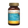 Herbs of Gold Olive Leaf 7500 60t