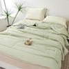 Paul Frank Class A Washable Quilt