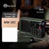 Mao King Navigator SR2 Портативное интернет-радио и Bluetooth-динамик Штекер CN (адаптер в комплекте)