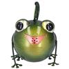 Frog Watering Can Multipurpose Cute Retro Metal Iron Frog Shower Home Decoration Ornament