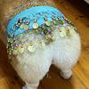 Dog Belly Dance Costume Corgi Dog Waist Chain Butt Curtain Clothes with