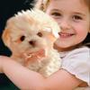 Plush Electric Toy Dog for Kids - Walks and Barks - Smart Pet Dog Gift