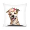 Adorable Pets With Flower Double-Sided Printed Pillow Cover Short Plush Suitable Living Rooms Bedrooms Sofas Throw Cushion Cover