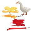 Ducks Traction Rope Adjustable Chest Strap Outside Walking Harness Leash for Pet  Chicken Goose Pet Harness Leash Set
