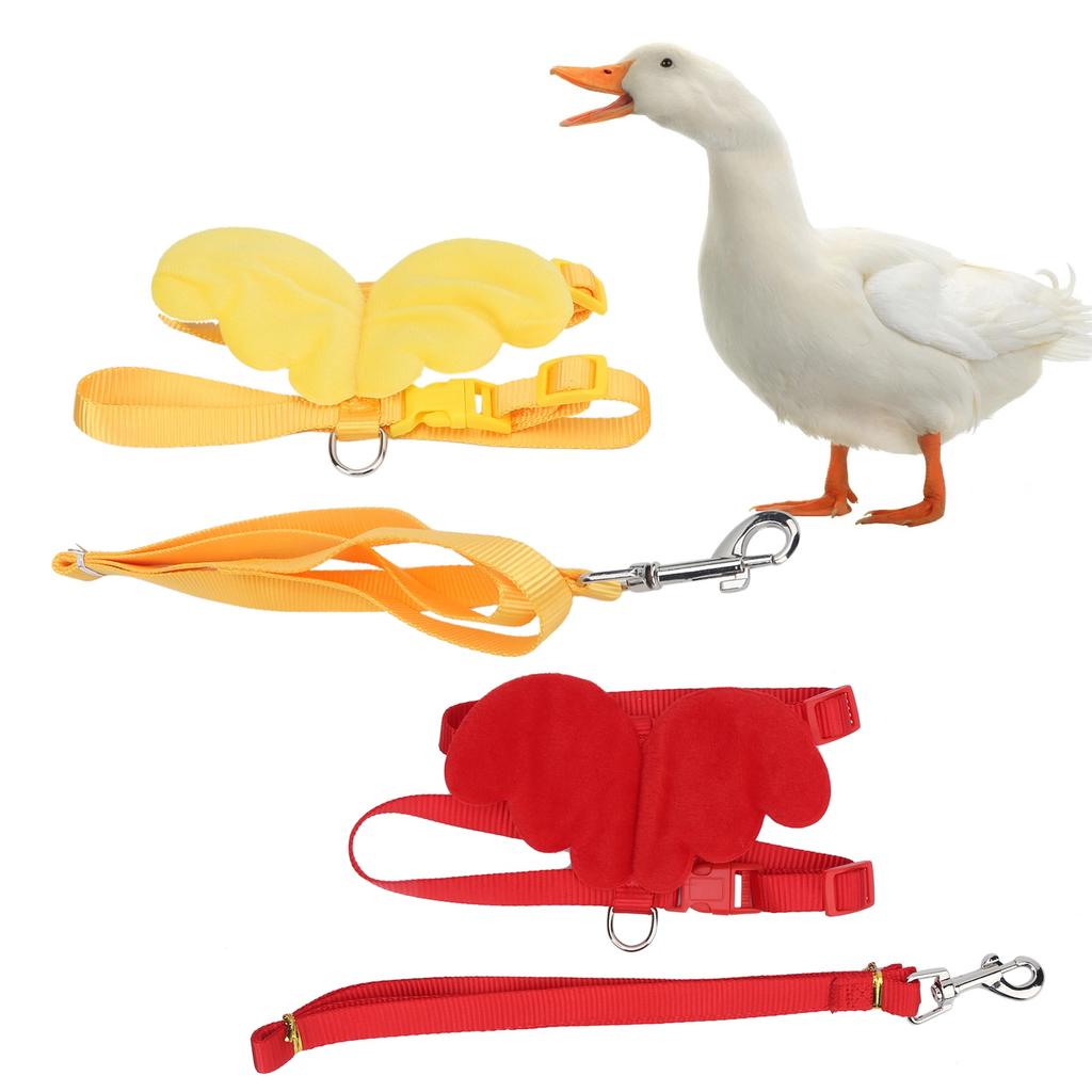 Ducks Traction Rope Adjustable Chest Strap Outside Walking Harness Leash for Pet Chicken Goose Pet Harness Leash Set