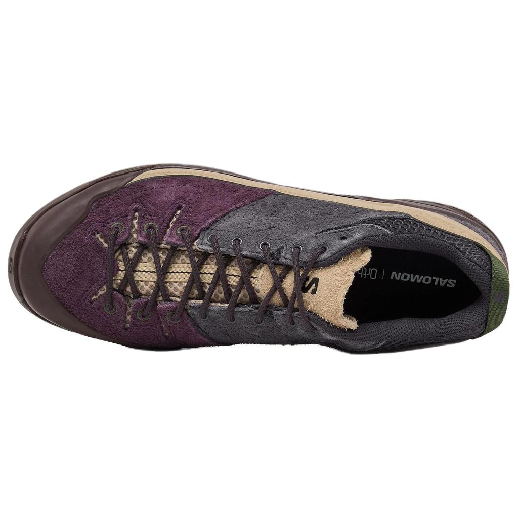SALOMON X-Alp Suede Comfortable Soft Low-Top Hiking Shoes Unisex Hiking Shoes Plum-Red 478762