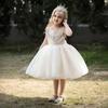 Kids Girls Party Dress Summer Elegant Princess Dress Children Wedding Evening Dresses Girl O-neck