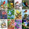 5d Diamond Painting Animal Bird Diamond Embroidery Cross Stitch Kits Full Drill Round Picture of Rhinestones Home Decoration
