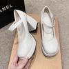Fashion Women's Fashion Chunky Heel Mary Jane Shoes Spring New Round Head Shallow Mouth Line with Anti-slip Wear-resistant Shoes