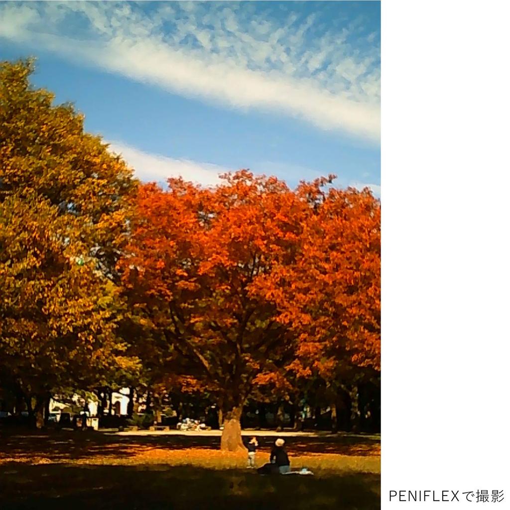 KENKO PIENIFLEX KC-TY02 Игрушечная цифровая камера с двумя объективами классического дизайна