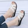 Fashion Hot Selling 2025 Slippers Platform Wedges Women Sandals Female Mules Beach Shoes Breathable Thick Bottom Non-Slip Solid Outside