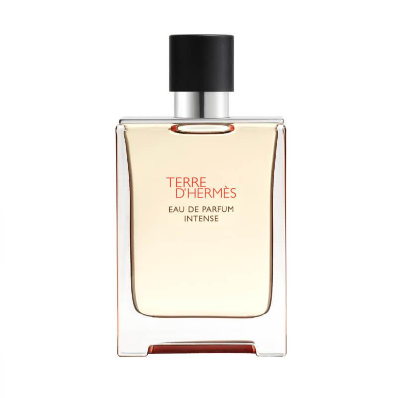 Hermès Terre d'Hermès Eau de Parfum Intense 100 ml Red-brun