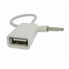 USB 2.0 Женский USB Женский К 3.5 мм Автомобильный Аудио Кабель Автомобильные Аксессуары