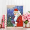 5D алмазная живопись Рождество Санта-Клаус Алмазная вышивка крестиком Птица Мозаика Зимняя ручная работа украшение дома