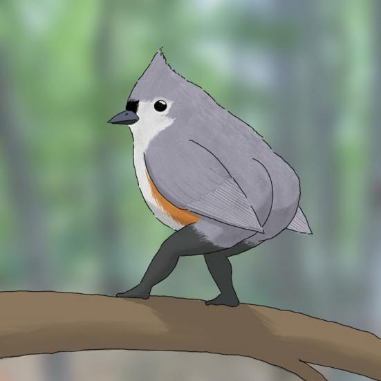 Настенный календарь на 2024 год с рисунком птицы, большой письменный планировщик, ежедневные мероприятия, забавный настенный календарь