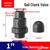 Rongsheng UPVC Ball Check Valve, JIS Standard