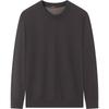 Qipai Men's Antibacterial Fleece-Lined Crew Neck Pullover Sweater