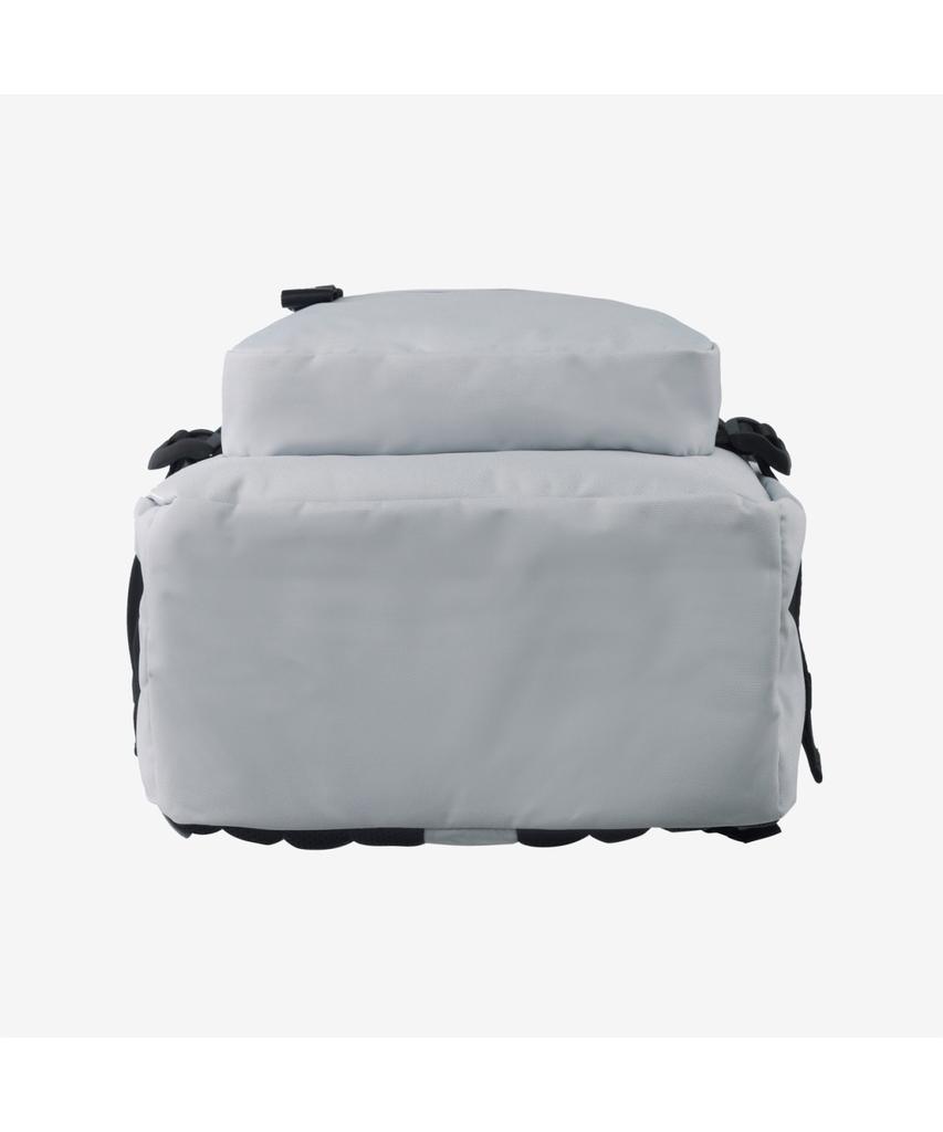 The North Face Nm2Dr05L Standard Book Backpack Ice_Gray