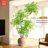 Искусственное дерево нандина: Роскошное, Большое, Комнатное Растение в Горшке для Декора Гостиной