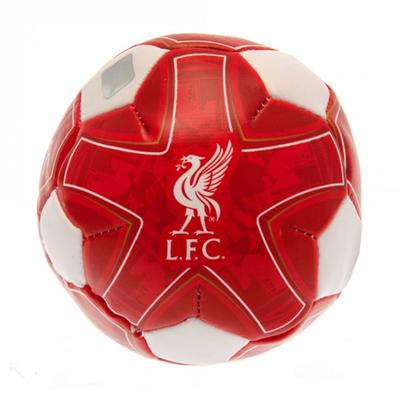 Liverpool FC Мини-футбол