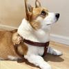 Светоотражающая регулируемая шлейка-жилет для маленьких и средних собак - Сиба-ину, Корги, Бишон, Тедди