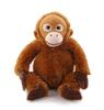 Monkey and His Friends Baby Orangutan Plush Toy