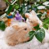 Simulation Mini Silicone Rabbit Baby Dolls Toy Soft Lifelike Cute Mini Reborn Rabbit Newborn Animal Doll Toy Gift For Kids