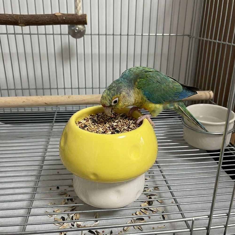 Ceramic Parrot Food Bowl Large Capacity Feeding Station Bird Water Bowl Balcony Use