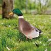 Art Decor Double-Sided Printing Wild Duck Decorations Acrylic Duck Statues Duck Sculpture Realistic