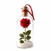 Recordable Christmas Ornament Christmas Recording Bottle  Holiday Table Display