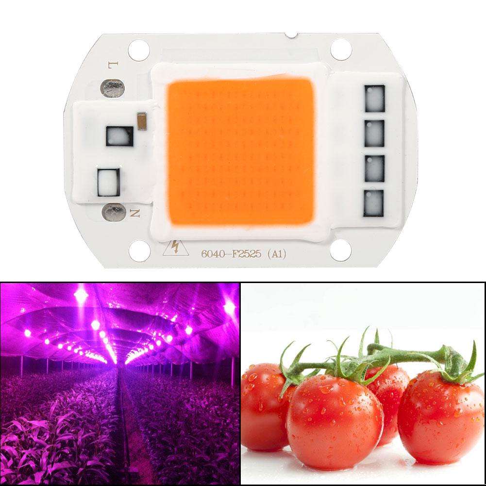 1 шт. 50 Вт полный спектр теплый/белый светодиод COB чип Grow Light лампа для роста растений сад гидропонное растение
