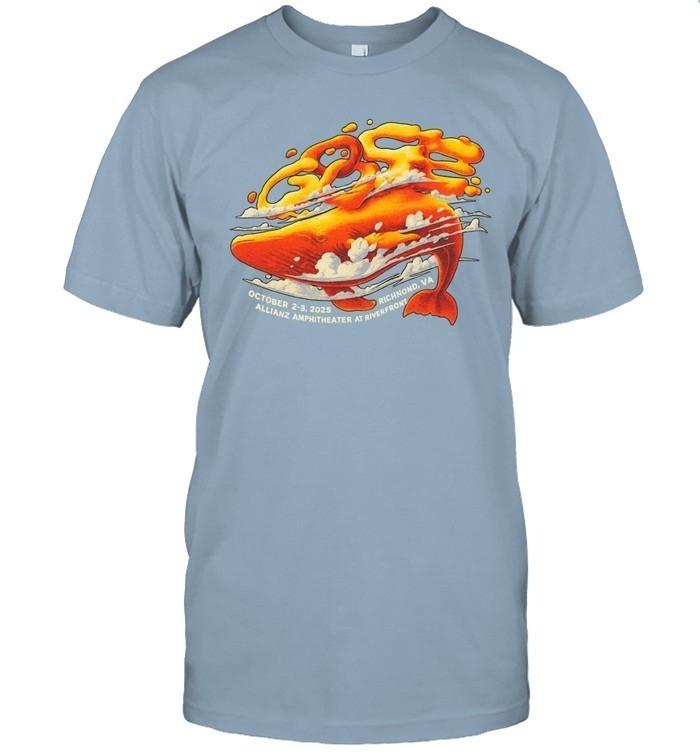 Футболка с гусем Ричмонд, Вирджиния 2-3 октября 2025 г. Футболка с тура по концертам Футболка группы