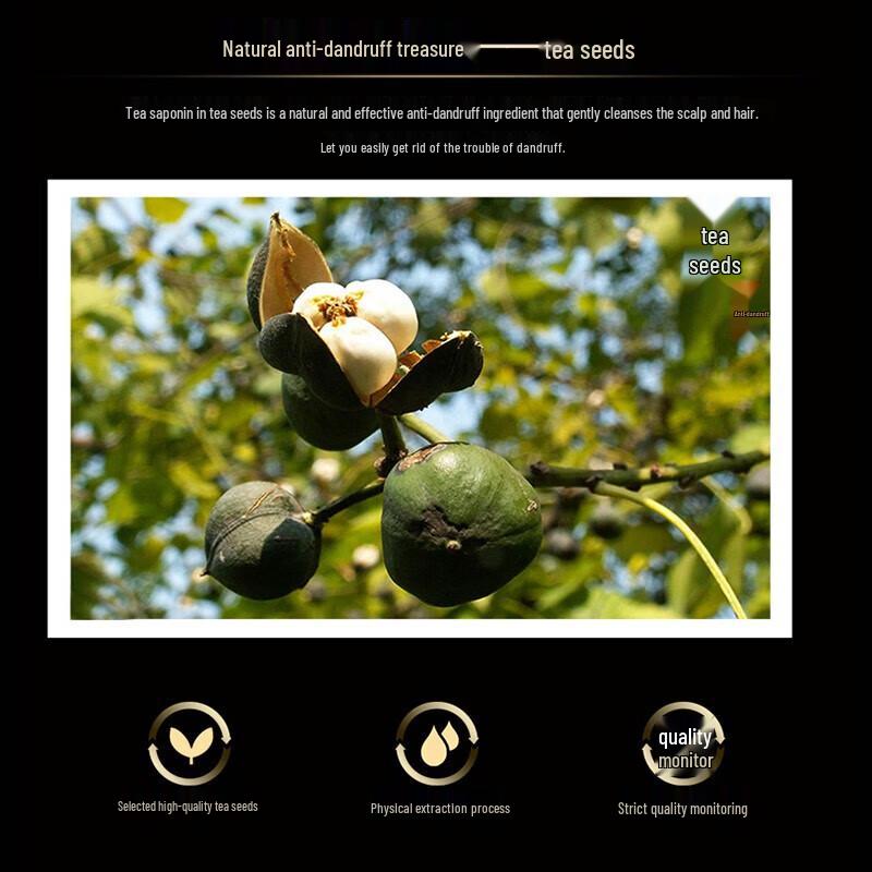 Seeyoung Tea Seed Oil Control Anti-Dandruff Shampoo