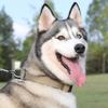 Reflective Training Big Dog Tactical Collar for Medium Large Dogs High Quality Pet Collars Labrador Husky mascotas Accessories
