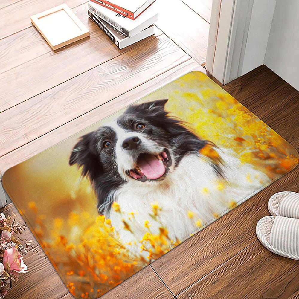 Floor Mat Entrance Door Mat Small Carpet Non-slip Door Mat Living Room Bathroom Kitchen Rug