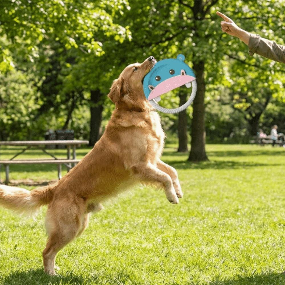 Durable Interactive Dog Toy Soft Puppy Chew Toy Pet Accessories Dog Flying Disc Outdoor Game