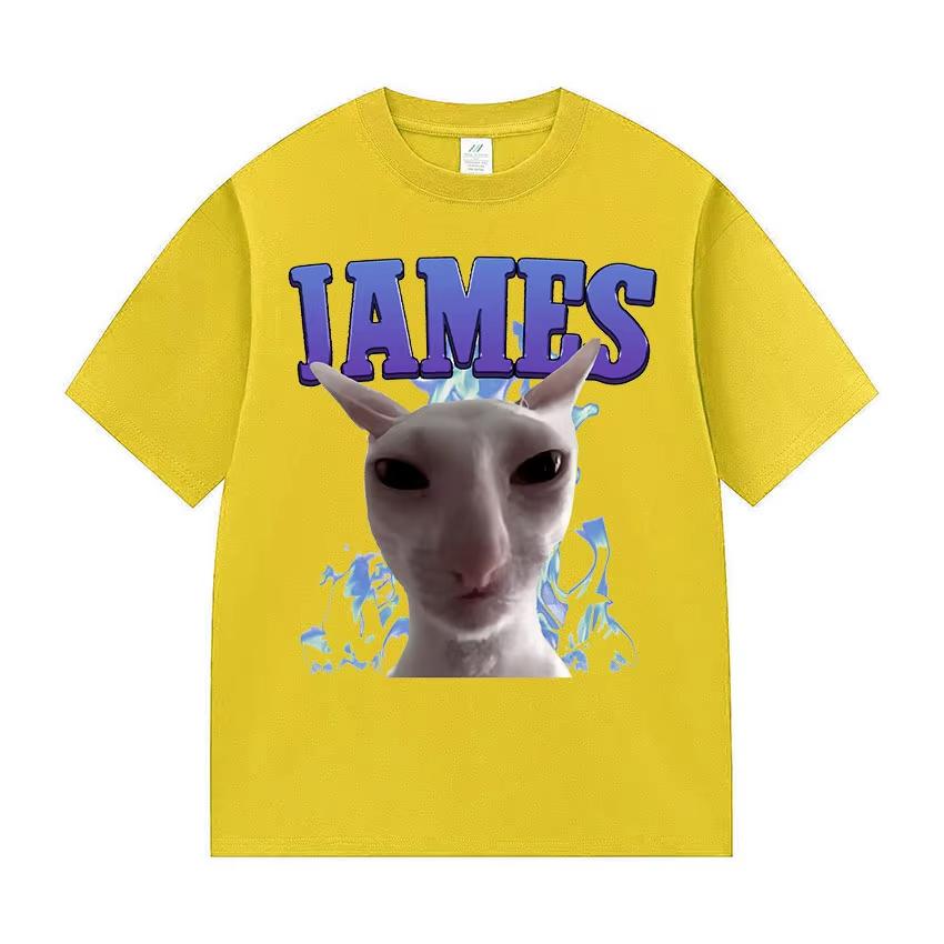 James Iames Funny Cat Meme TShirts Stupid Joke Gifts Cat Lover Short Sleeve TShirt Unisex Unisex Fashion Oversized Cotton T Shirts
