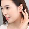 Lindon Copper Alloy Zircon Earrings Drop Earrings For Women Wedding Party Gifts