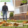 Беспроводной садовый пылесос-воздуходувка Greenworks 40V