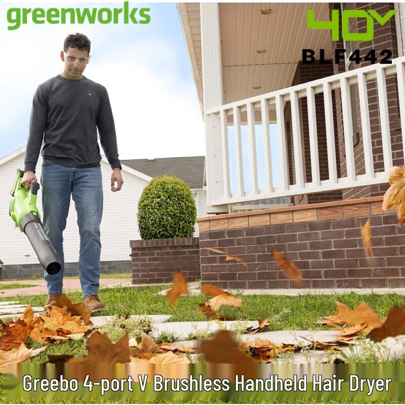 Беспроводной садовый пылесос-воздуходувка Greenworks 40V