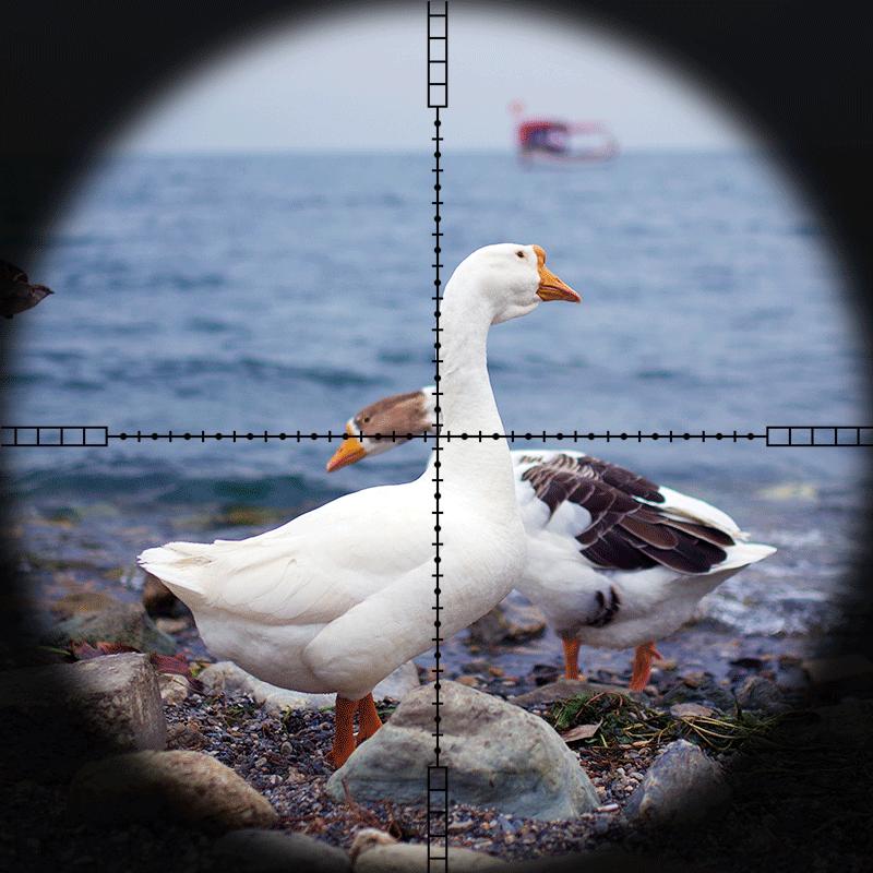 Diana Охотничий тактический оптический прицел 1-5X24 AOE с красным и зеленым светящимся крестообразным прицелом для охоты