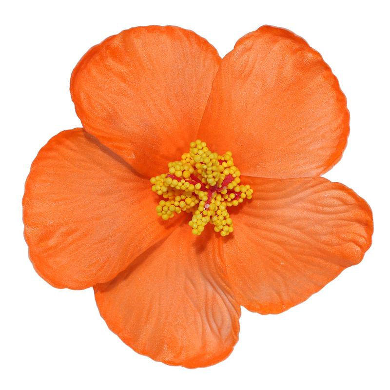 Гавайские красочные заколки для волос с цветами для женщин и девочек, романтические богемные заколки с челкой на бок, заколки для волос Bb, аксессуары для волос