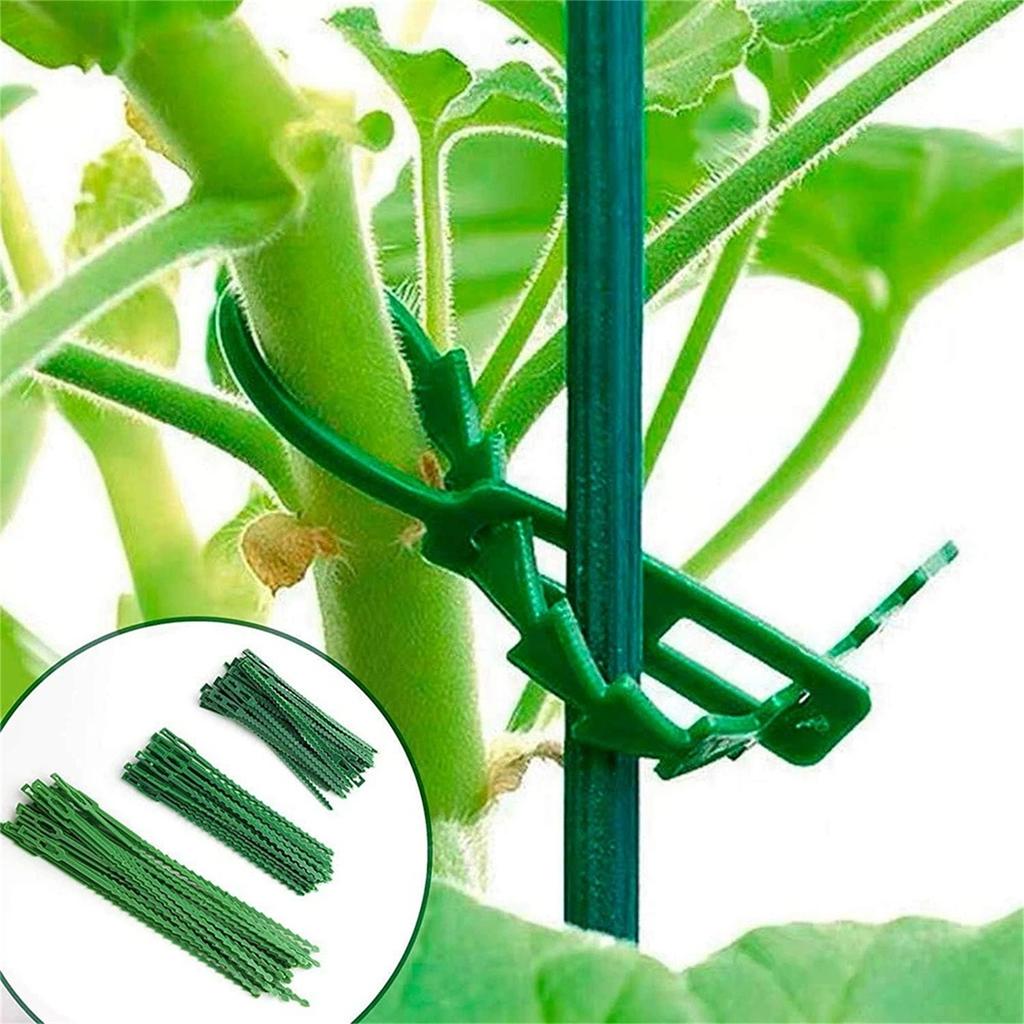 Reusable Adjustable Plant Ties, Garden Climbing Plant Wire, Plastic Multi-Purpose Plant Support Ties for Vines and Flowers