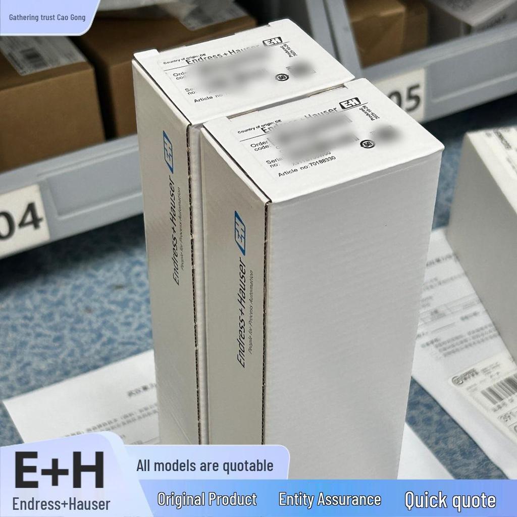 FTM51-AGK5M4A12AA E+H Endress+Hauser Предельный выключатель с камертонным элементом Доступен